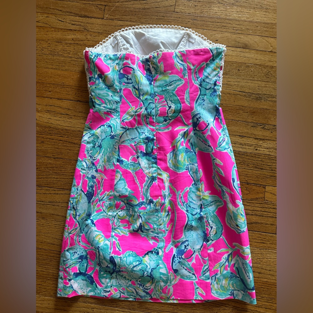ADORABLE Lilly Pulitzer Brynn dress - Picture 14 of 15